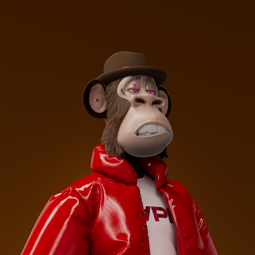 هیپ #8170 - تصویر 3